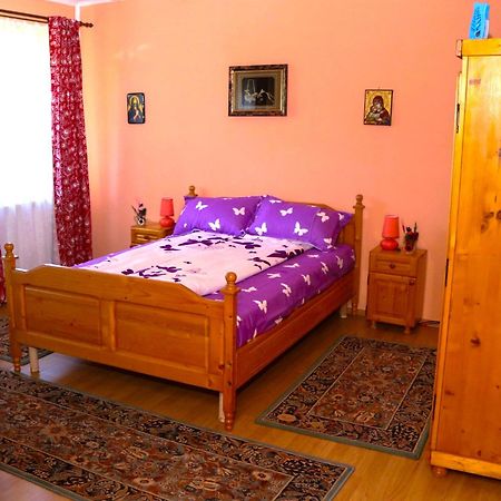 Geoagiu Băi Apartament Iulia מראה חיצוני תמונה