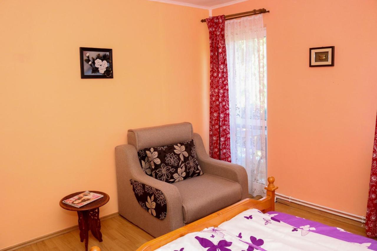 Geoagiu Băi Apartament Iulia מראה חיצוני תמונה