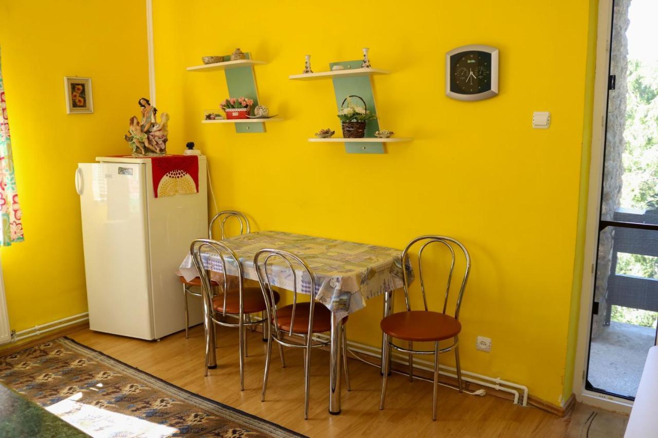 Geoagiu Băi Apartament Iulia מראה חיצוני תמונה