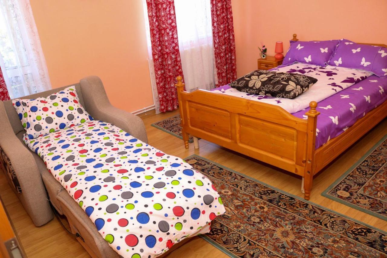 Geoagiu Băi Apartament Iulia מראה חיצוני תמונה