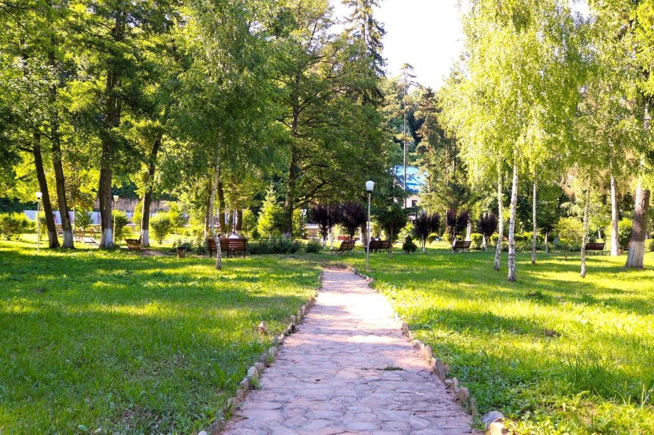 Geoagiu Băi Apartament Iulia מראה חיצוני תמונה