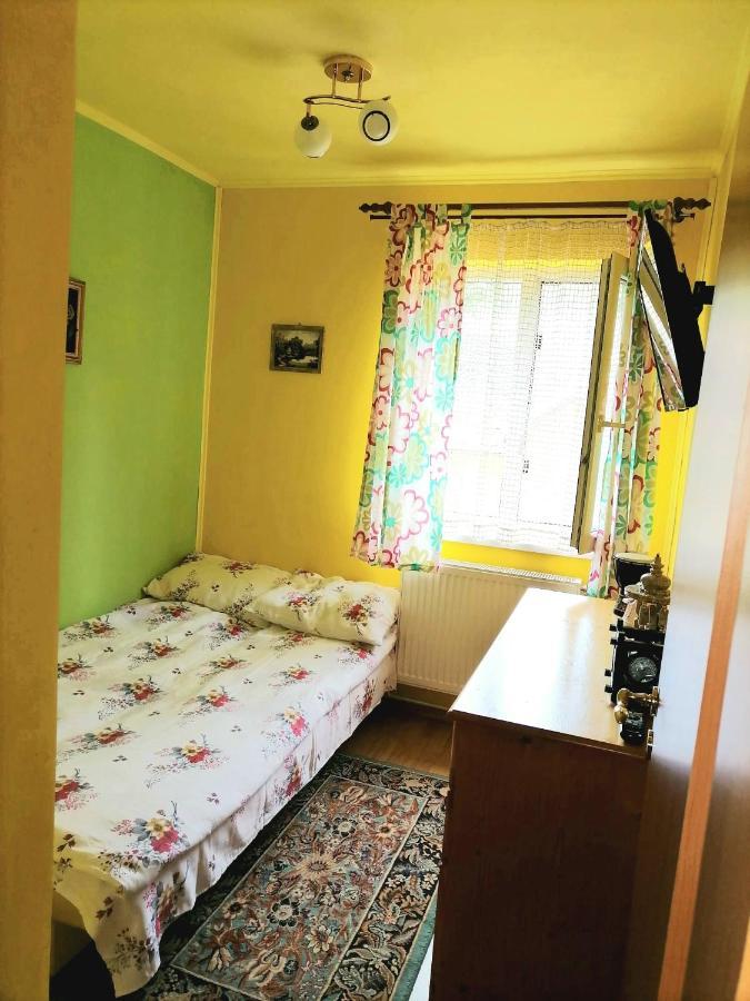 Geoagiu Băi Apartament Iulia מראה חיצוני תמונה
